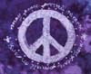 may peace prevail on earth shirt